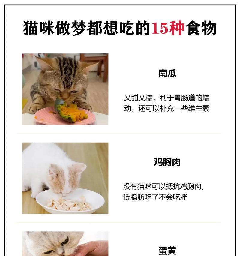猫咪为何偏爱猫粮和猫条？其他食物为何不感兴趣？