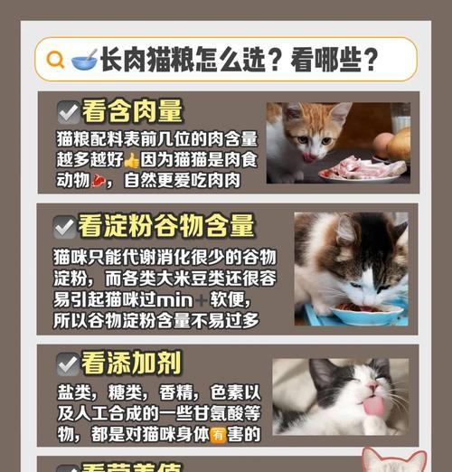 猫咪几岁开始挑食？不爱吃猫粮是什么原因？