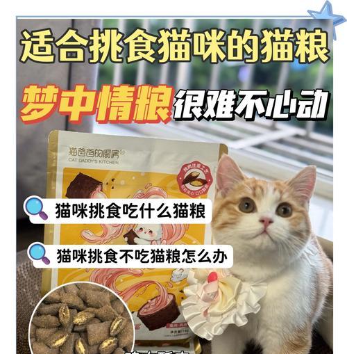 安生和泡芙猫粮选择对比？