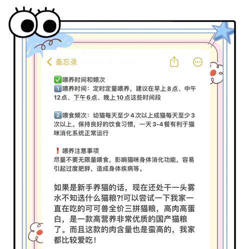 美短猫咪喂食猫粮的最佳时间是什么时候？