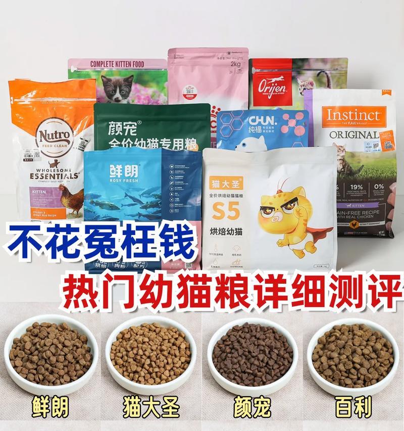 猫咪完全拒绝猫粮该如何是好？