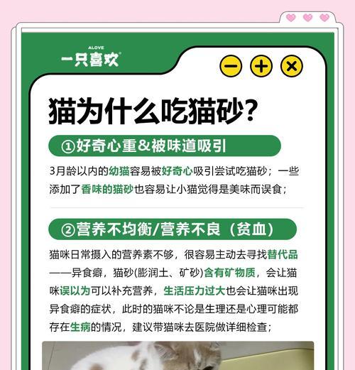 猫为何天生会使用猫砂和猫粮？