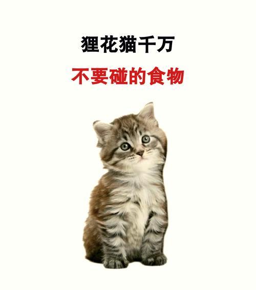 狸花猫吃猫粮容易发胖吗？原因是什么？