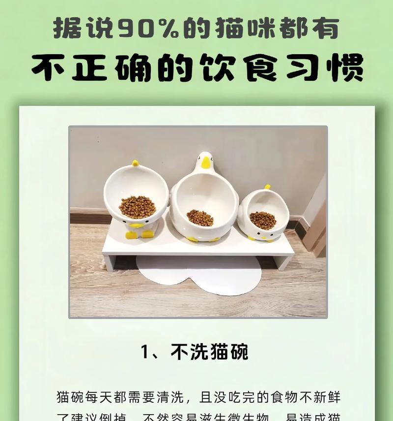 猫咪只吃猫粮该如何调整饮食？