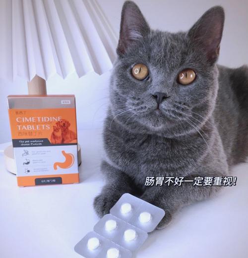 接触猫粮后头晕呕吐应该吃什么药？