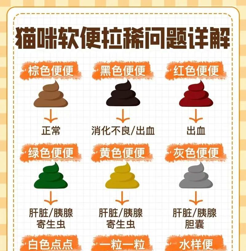 猫咪吃猫粮后大便臭是什么原因？如何改善？
