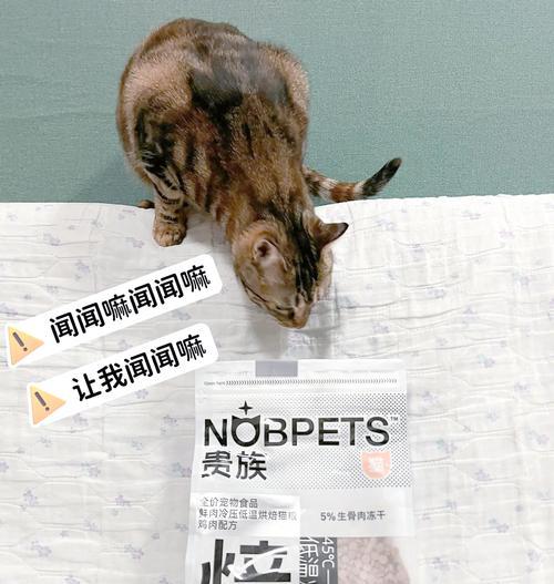 烘焙猫粮对猫咪健康有益吗？猫咪更喜欢哪种口味？