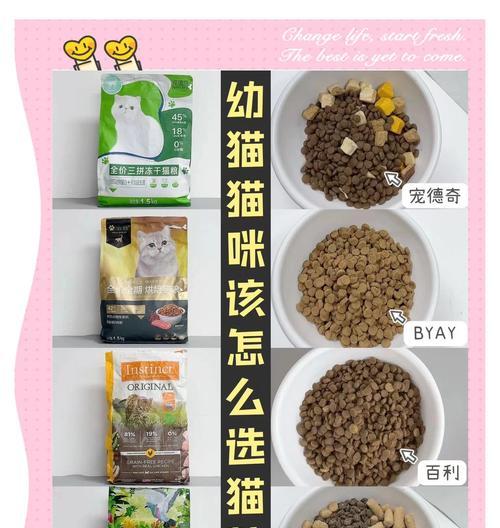猫咪生崽期间如何正确投喂猫粮？