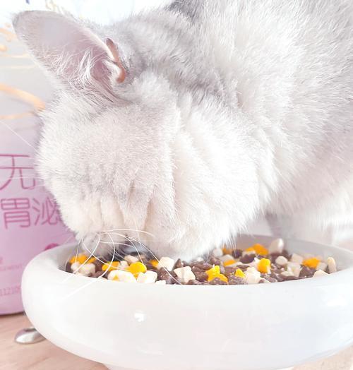 猫膀胱炎应选择哪种猫粮恢复快？