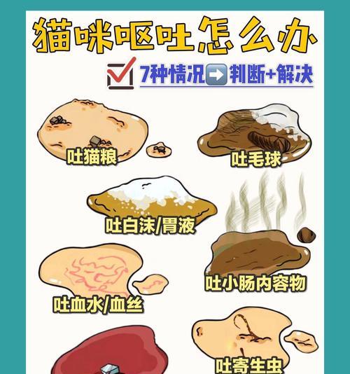 猫吐出猫粮后又喝水是什么原因？这是什么健康问题吗？