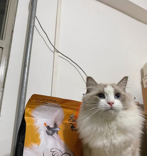 皇家比瑞吉猫粮怎么样？适口性如何？