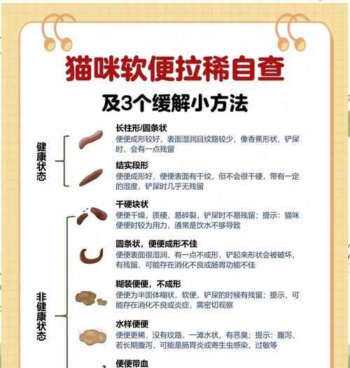 猫咪换粮后软便是什么原因？这是什么类型的猫咪？