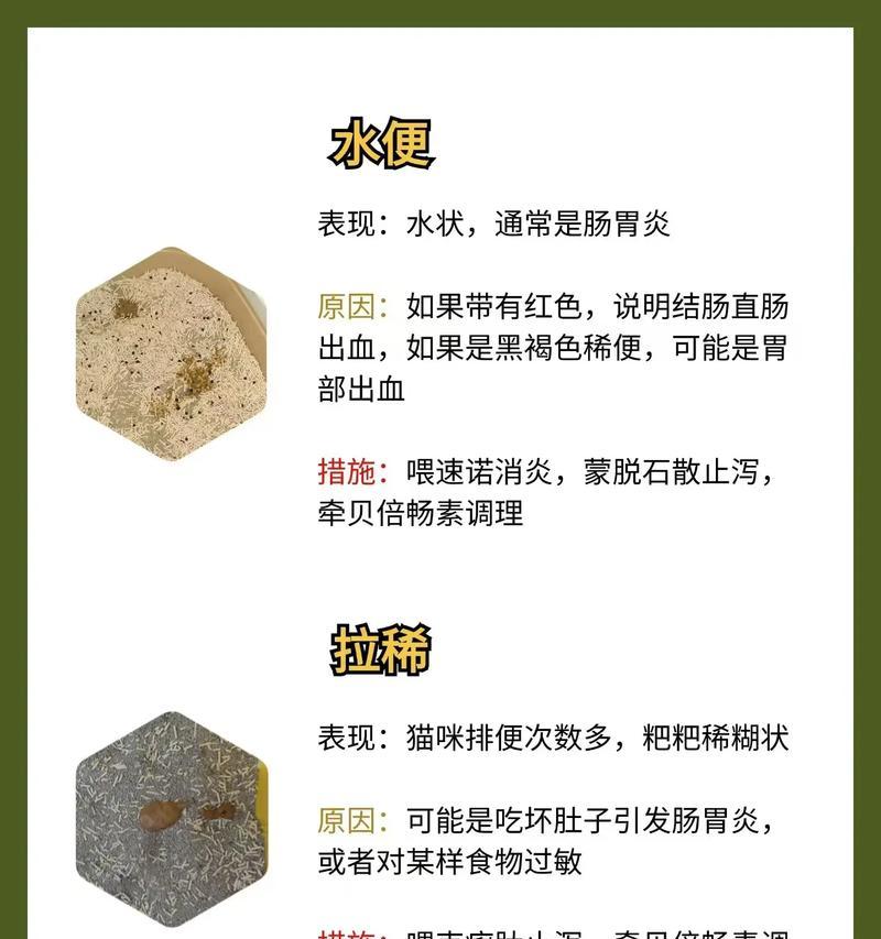 猫咪换粮后软便是什么原因？这是什么类型的猫咪？