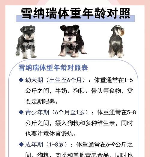 2个月雪纳瑞每顿应该喂多少？