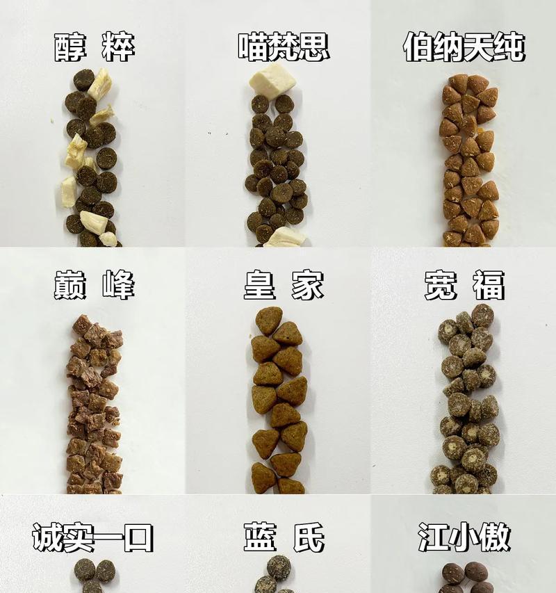 为什么猫粮还没有喂给猫咪？