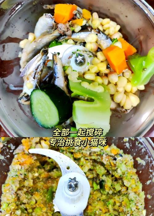 猫粮猫主食猫条怎么做好吃？有哪些创意的猫粮烹饪技巧？