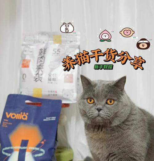 猫粮和猫砂猫砂盆怎么用？猫粮和猫砂的正确使用方法是什么？
