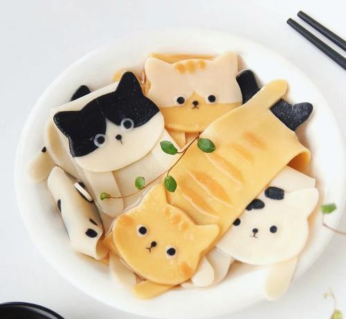 猫粮模具怎么使用？制作猫粮模具有哪些步骤？