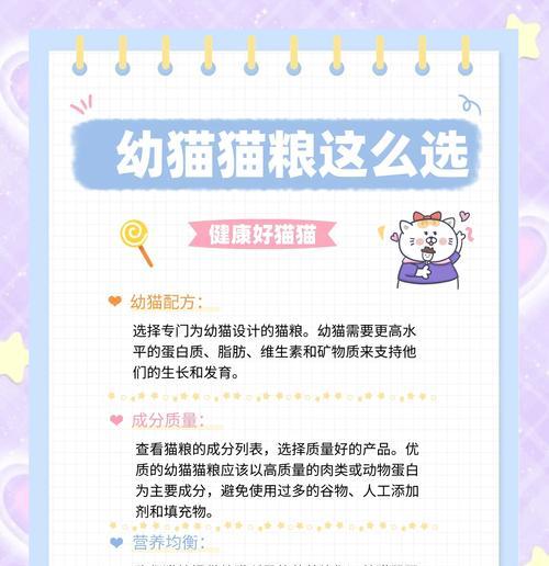 儿童喂养猫咪时应选择哪种猫粮？如何确保安全健康？