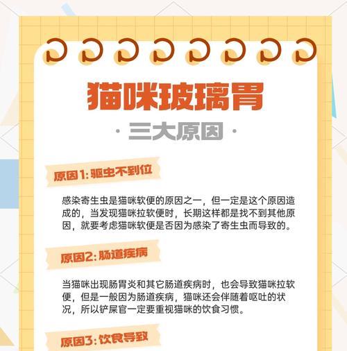 布偶猫吃新猫粮后呕吐的原因是什么？