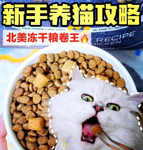 猫粮冻干瓶子怎么打开？有哪些简单的方法？