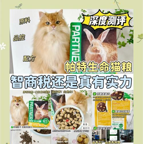 生肉和猫粮喂养的猫有何不同？