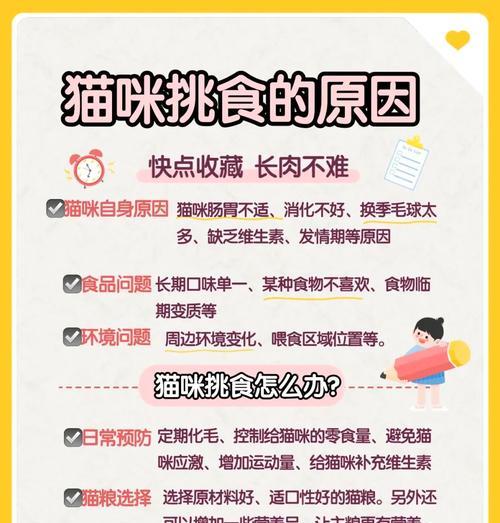 猫咪不挑食猫粮应该怎么办？