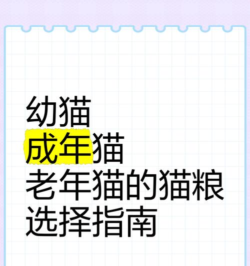 高龄猫咪的日常饮食应该如何安排？哪些猫粮品牌适合老年猫？