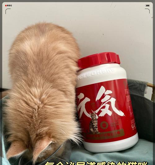 猫咪结晶处方猫粮的正确使用方法是什么？