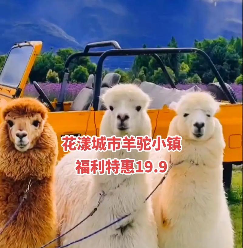 羊驼小镇门票优惠活动有哪些？