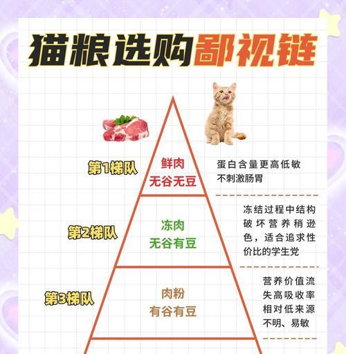 如何将猫粮融入猫饭中提升口感？