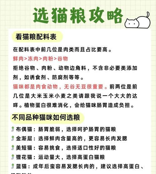 猫能吃什么代餐猫粮好一点？猫看我不吃饭给我猫粮怎么办？