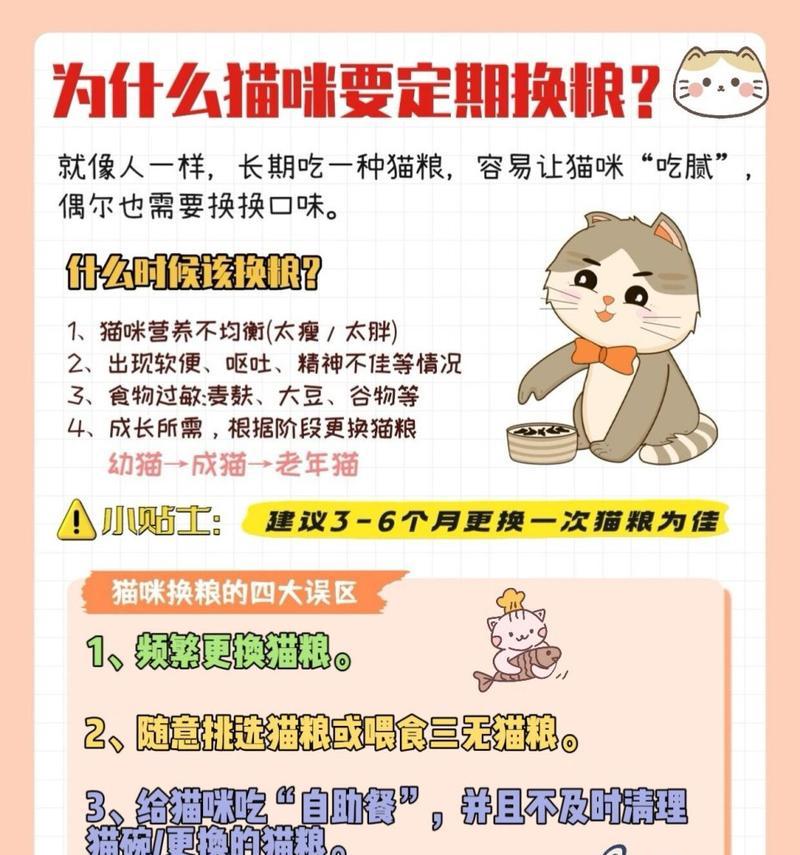 幼猫粮更换为成猫粮的正确步骤是什么？需要注意什么？