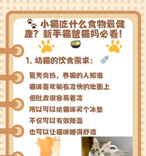 猫咪只吃便宜猫粮不吃贵的怎么办？如何调整饮食习惯？