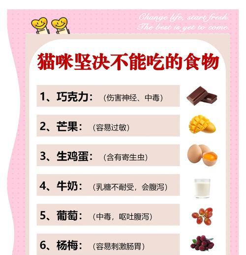 猫咪拒绝进食猫粮？如何激发它的食欲？