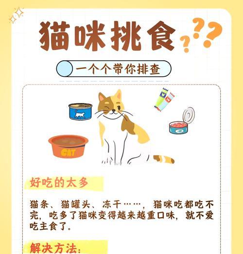 猫咪拒绝进食猫粮？如何激发它的食欲？