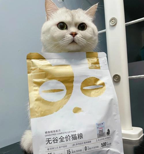 银渐层猫咪偏好的猫粮种类有哪些？