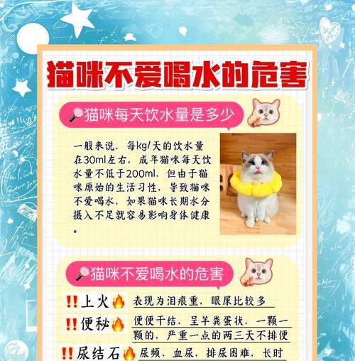 人吃过猫粮会传染疾病吗？为什么有人会尝试猫粮？