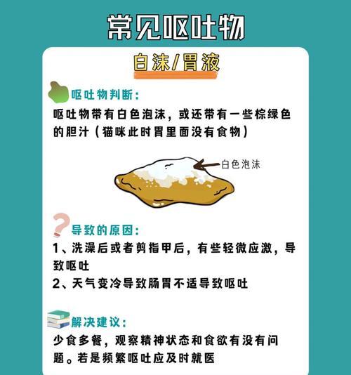 猫粮吃完后呕吐如何索赔？需要哪些证据？