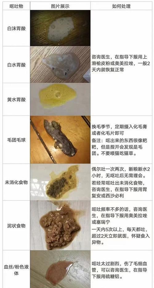 猫粮吃完后呕吐如何索赔？需要哪些证据？