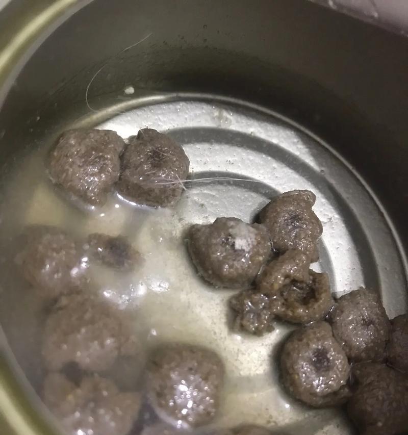 凭实力吃猫粮会有什么结果？这是好是坏？