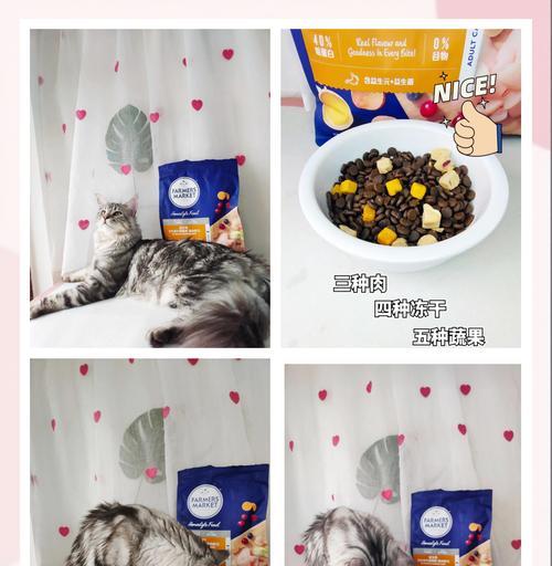 猫粮怎么囤一年的？长期储存猫粮的正确方法是什么？