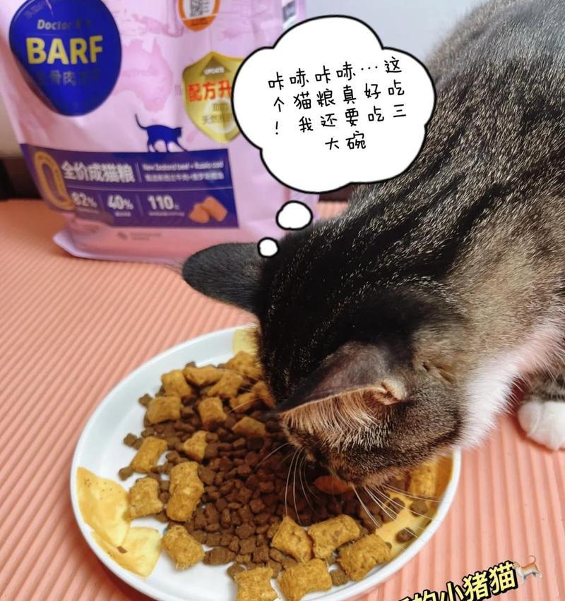 两个月大的猫咪能吃猫粮吗？