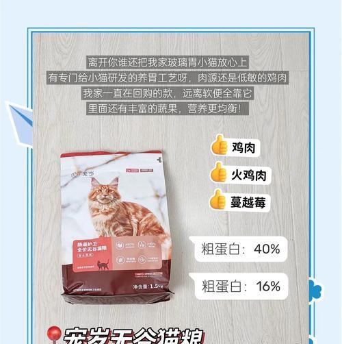 瘫痪猫咪应该吃什么猫粮？如何确保营养均衡？
