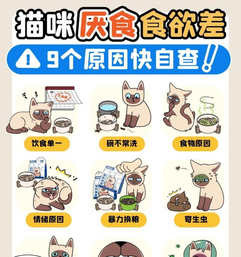 猫咪食欲不振不吃猫粮的原因是什么？