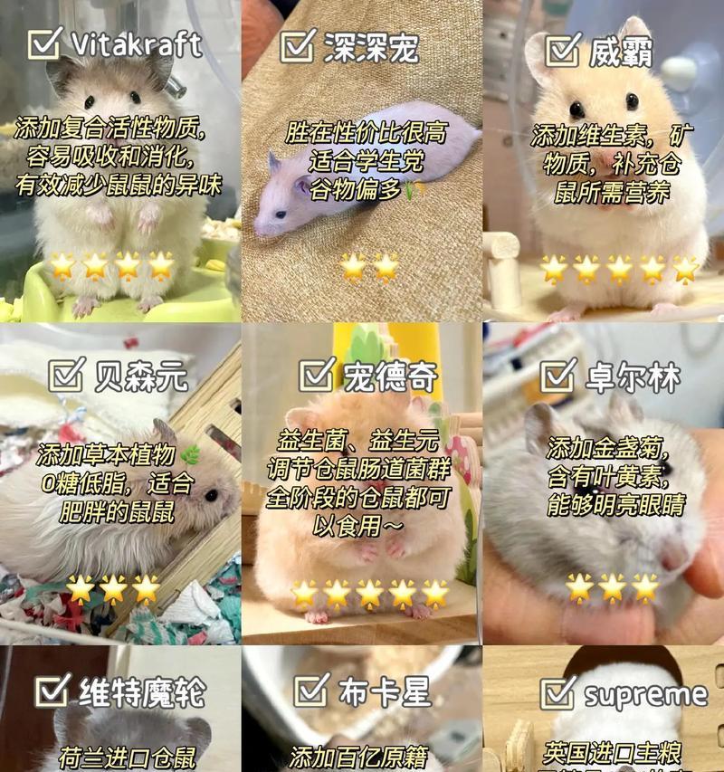 去宠物店挑选仓鼠粮有什么技巧？如何选择适合仓鼠的粮食？