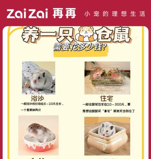 去宠物店挑选仓鼠粮有什么技巧？如何选择适合仓鼠的粮食？