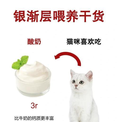 刚满月的银渐层吃什么猫粮？幼猫猫粮的选择标准是什么？