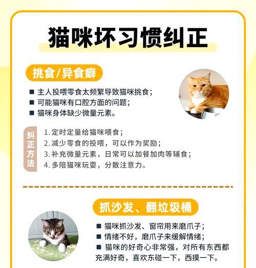 猫只想吃生鱼不吃猫粮怎么回事？如何纠正？