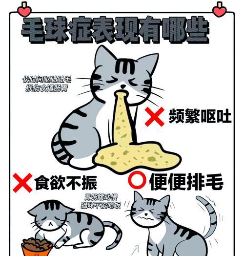 猫咪经常吐猫粮和毛球怎么办？可能的原因和解决方法是什么？
